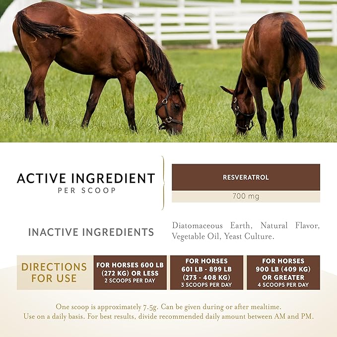 Metabarol Horse Supplement Powder with Resveratrol, Metabolic Support Supplement for Horses, Equine Metabolic Supplement, Equine Care Products, 2 lbs