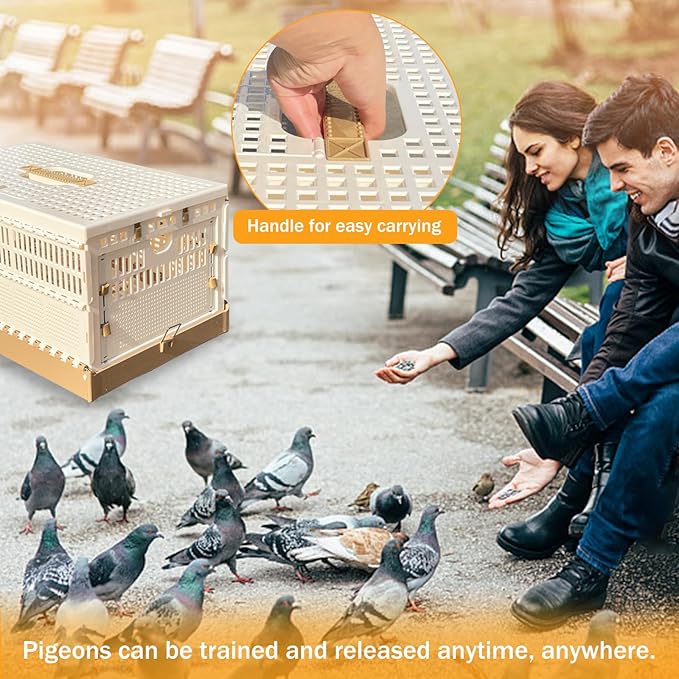 Folding Pigeon Cage Racing Pigeons Travel Cage Pairing Cage Plastic Three Doors Nest Box for Training and Release, Competition(L)