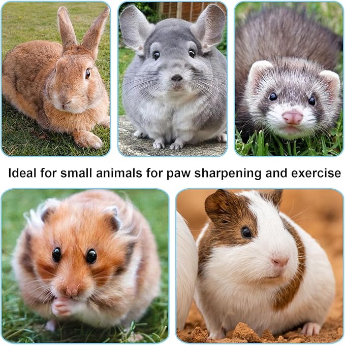 Hypeety Rabbit Scratching Pad Antiskid Edible Natural Wood Board Toy for Small Animals Bunny Chinchilla Guinea Pig Rabbit Hedgehog Hamster