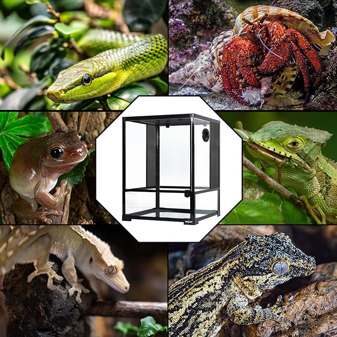 REPTI ZOO 30 Gallon Reptile Glass Terrarium, 18" x 18" x 24" Rainforest Habitat Tank with Front Opening Door, Knock-Down Vertical Reptile Terrarium with Top Screen & Side Mesh Ventilation