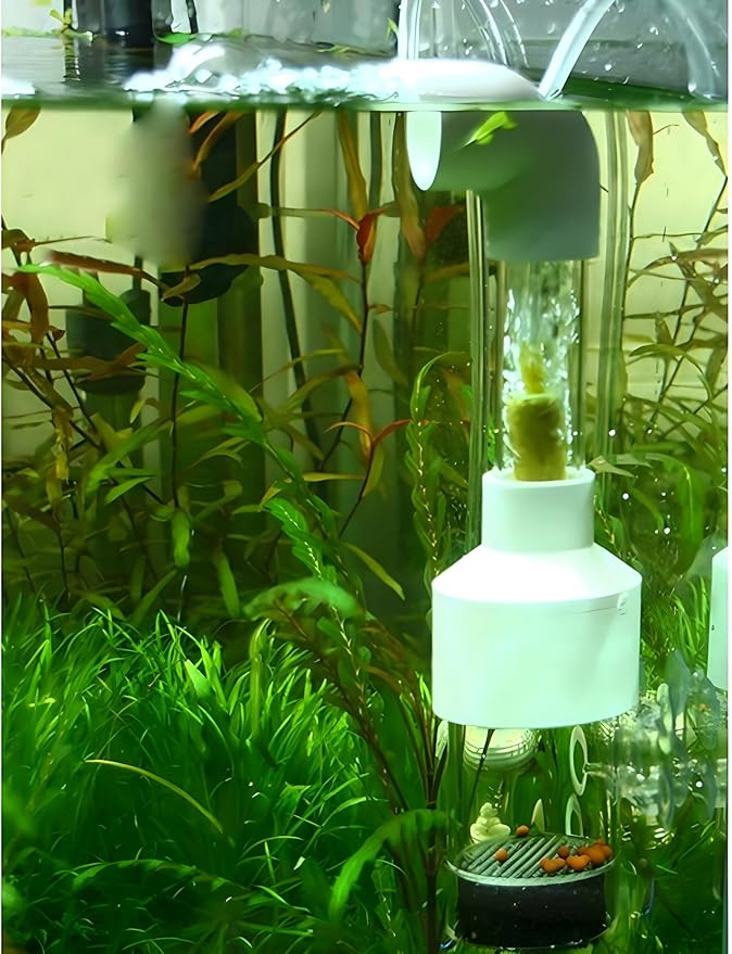 Aquarium Egg Incubator Tumbler - 50mm Fish Hatchery for Cichlids and Mouth-Brooding Species
