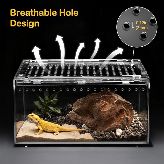 PC Large Reptile Terrarium Starter Kit,Magnetic Jumping Spider Enclosure,Hermit Crab Tank,Arboreal Tarantula Cage for Praying Mantis,Frog Vivarium,Lizard Container,Insect Housing,Gecko Habitat