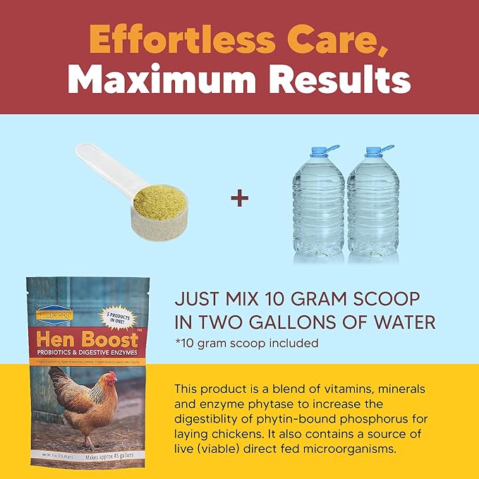 Flock PRO Hen Boost - Digestive Supplement for Hens | Chicken Vitamins and Supplements | Probiotics, Digestive Enzymes, Electrolytes for Adult Poultry-8 OZ