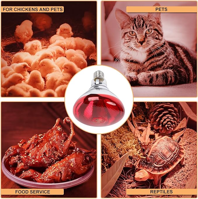 250W Red Heat Lamp Bulbs for Chicken,Infrared Flood Light Heat Lamp Bulb, Incandescent Light Heat Lamps for Chicks, Reptile, Pets, Par38 Glass E26 Base 2PCS