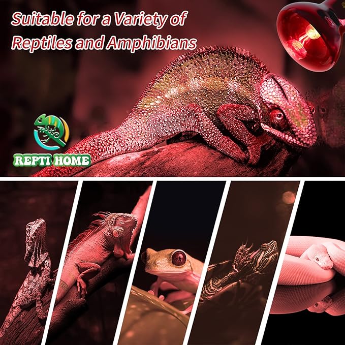 Infrared Reptile Heat Lamp Bulbs,2 PCS 50W Reptiles & Amphibians Infrared Basking Spot Lamp Bulb, Red Heat Emitter Light for Chickens Coop
