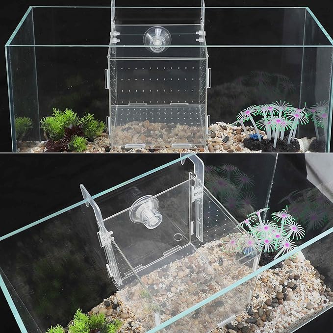 Fish Breeder Box for Fish Tank, Acrylic Fish Tank Divider, Easy to Install, 5.91"x5.91"x5.91", Clear, 1 Set