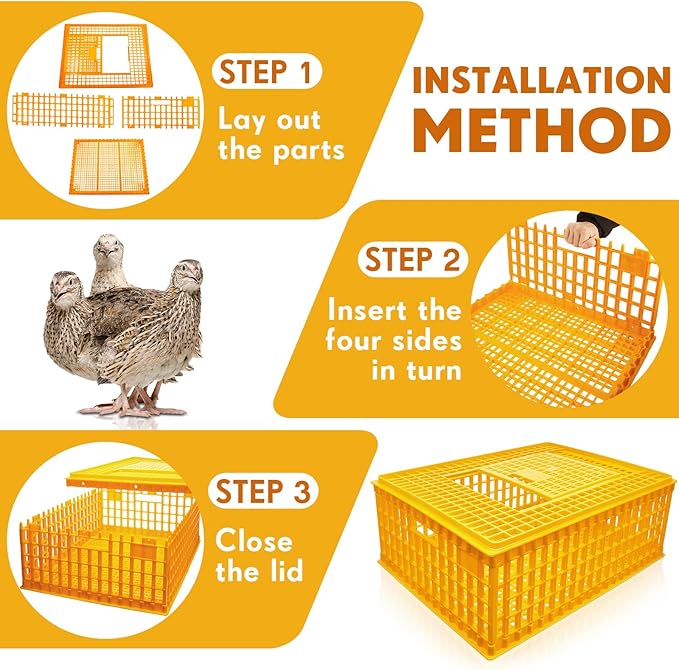 Sintuff 2-Piece Poultry Carrier - Plastic Chicken Transport Cage, 29.5 x 21.7 x 11.6 Inch