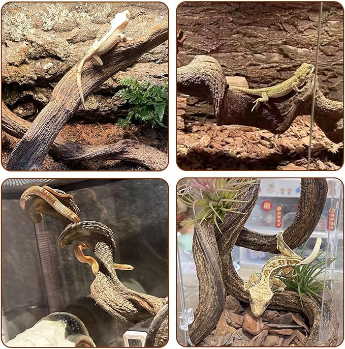 BNOSDM 2Pcs Natural Reptile Climbing Branches Decor,1.3-1.8" Thick Natural Snake Climbing Forest Wood with Plant Leaf Decor,Lizard Forest Branch,Geckos Tank Tree Trunk Accessories for Bearded Dragons