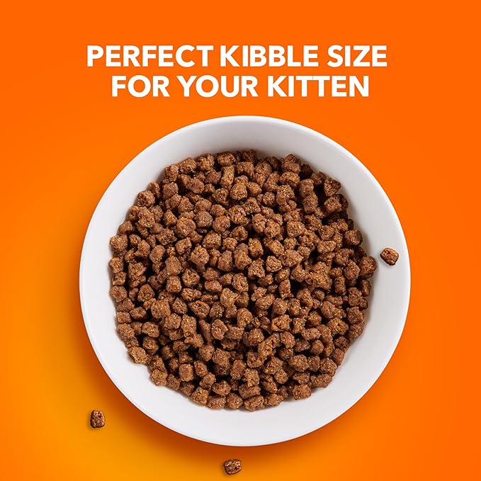 IAMS Proactive Health Healthy Kitten Dry Cat Food with Chicken, 3.5 lb. Bag