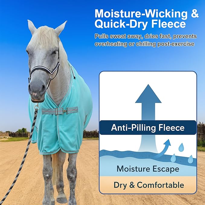 Horse Fleece Cooler, Blanket Liner - 300g Anti-Pilling Fleece, Moisture-Wicking, Cooling & Drying for Post-Workout, Bath & Travel, Prevent Overheating & Chilling Mintgreen 78