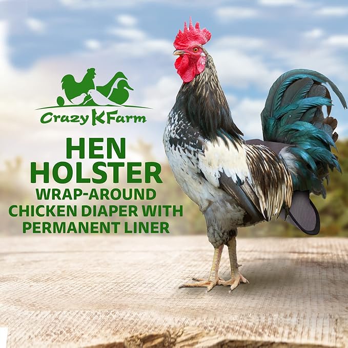 Hen Holster Bird Diaper, Wrap Around - for Hens, Roosters, Ducks, Leak-Proof Design, Comfortable Fleece Strap Bird Harness with Sewn-in Liner, Secure Hook and Loop Closure - XL, Gray