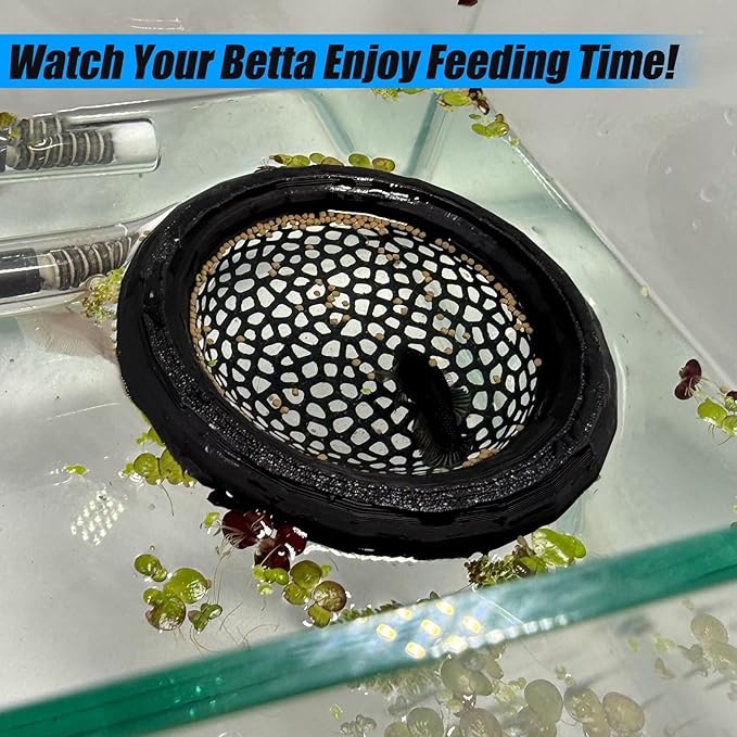 Aquarium Floating Betta Fish Skins, Betta or Shrimp Feeder, Cave and Hammock, Small Fish Feeding Rings, Aquarium Hiding Feeding Decorative Accessories (Wood Color)