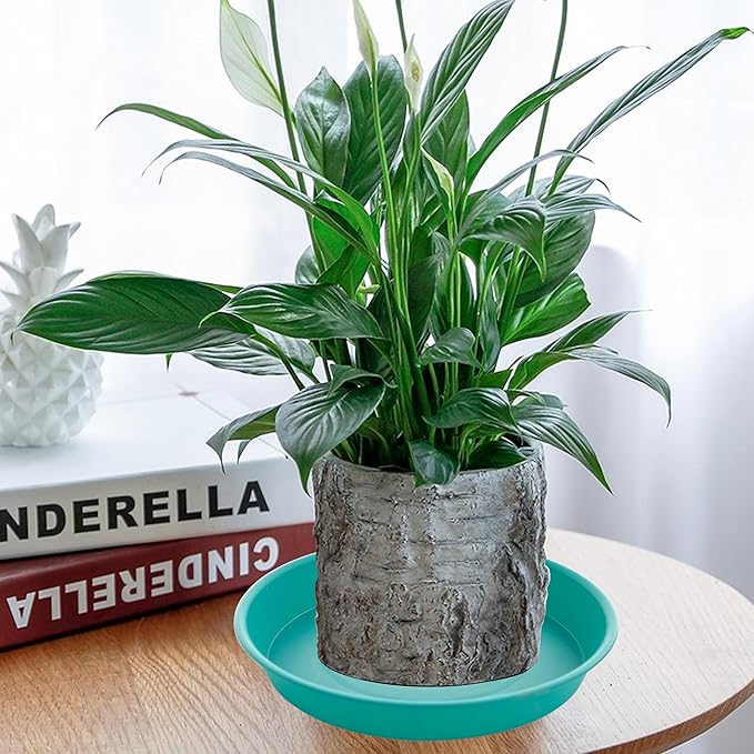 6 Pack of 8 inch Plant Saucer Blue, Plastic Plant Water Tray 8 inch Round, Flower Plant Saucers for Indoors, Dlant Dishes Saucer for Planter 7"/8" (8", Teal)