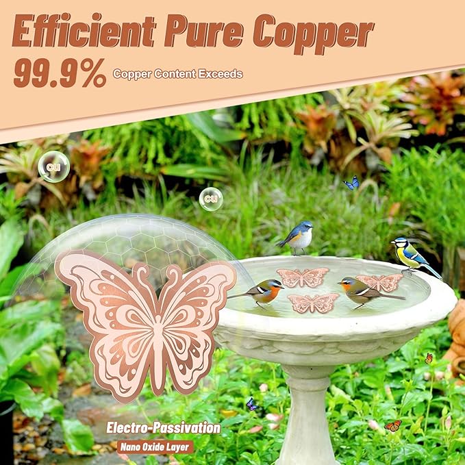 2Pcs Bird Bath Copper Disk, 0.6mm Reinforced 99.9% Pure Copper Cleaning Disk for Physical Clean Water, All-Season Use Cleaner for Outdoor Birdbaths Bowl Garden Fountain (Butterfly)