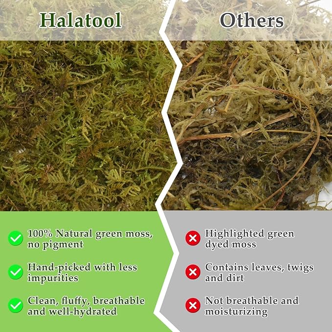 Halatool 9OZ Natural Sphagnum Moss for Reptiles- 14QT Green Moss for Terrarium Plants Long Fiber Reptile Moss for Leopard Gecko Snake Hamsters Tortoises Frogs Lizards Salamanders