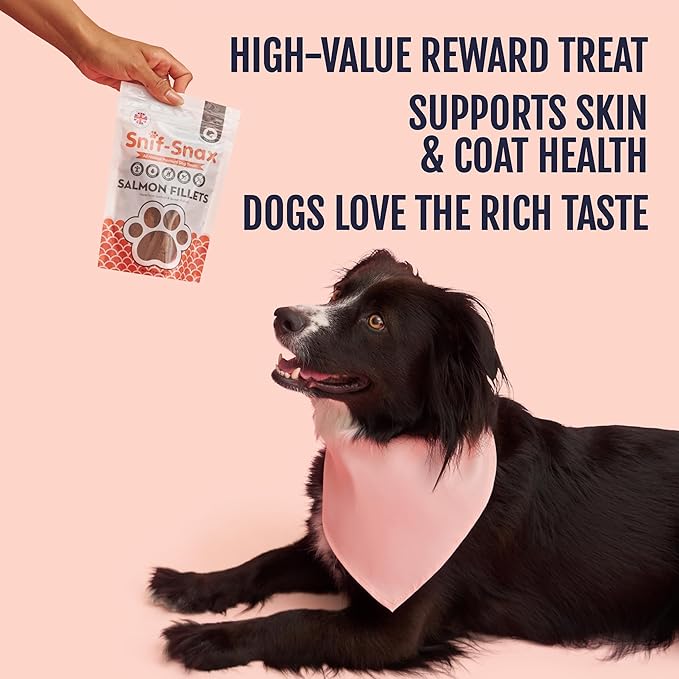 Snif-Snax Salmon Fillets Dog Treats 3 Pack – All Natural Human Grade Grain Free Training & Reward – High Protein Salmon Sticks for Dogs, Healthy Puppy Treats, Soft Jerky-Style Strips