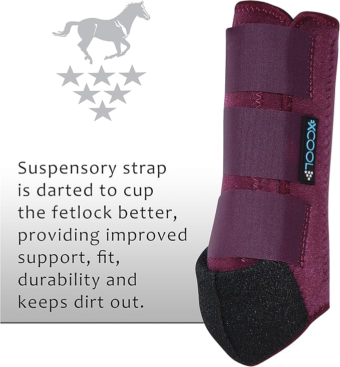 Professional's Choice 2XCOOL Sports Medicine Horse Boots | Protective & Breathable Design for Ultimate Comfort, Durability & Cooling in Active Horses | 2 Pack