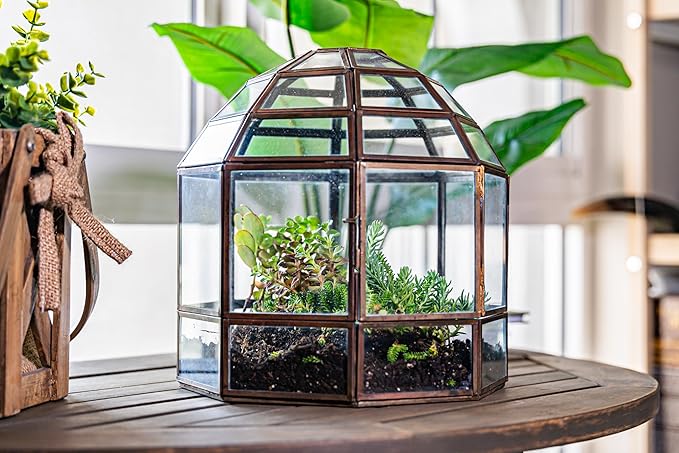 Urban Born Large Terrarium Birdcage, Glass and Metal Indoor Display Case, Unique Gift Idea, Succulent Container, Orchid Planter, Home Decor. (Bronze) 10" x 9"(Diameter)