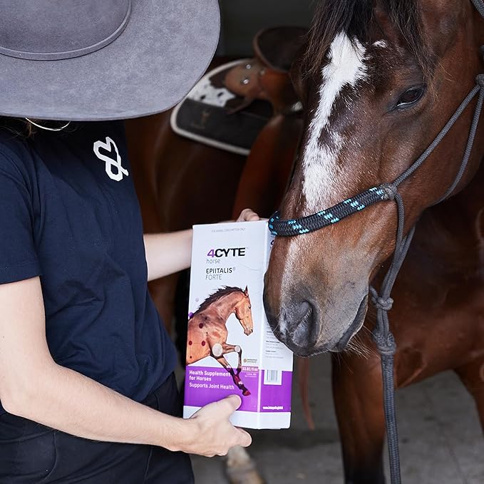 4CYTE Epiitalis® Forte Horse (250ml/8.45 fl oz)