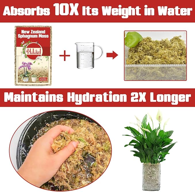 Halatool Premium New Zealand Sphagnum Moss, 200g(16L When Hydrated), for Orchid Repotting Succulent Sarracenia Potted Plants Gardening & Reptiles