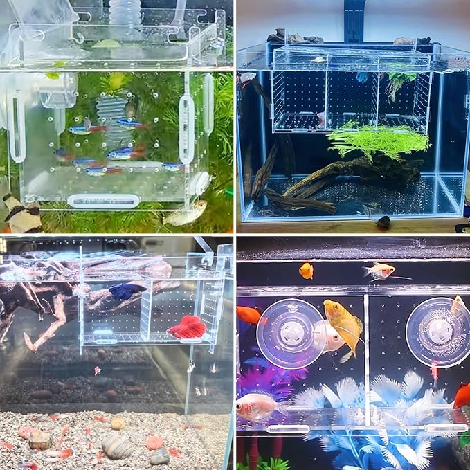 PINVNBY Acrylic Fish Breeding Box，Guppy breeding Box Acrylic Fish Isolation Box Aquarium Incubator with Suction Cups for Guppy Shrimp Small Baby Fishes（7.87 x 3.9 x 3.9 in）
