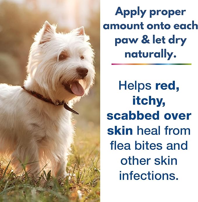 Pet Body Rash Gel for Itch Relief - Hot Spot Treatment for Dogs & Cats, Cat & Dog Rash Treatment, Pet Wound Care, Soothes Irritations, Cuts & Rashes, Itchy Skin Relief, Dog Skin Care, 40 ML