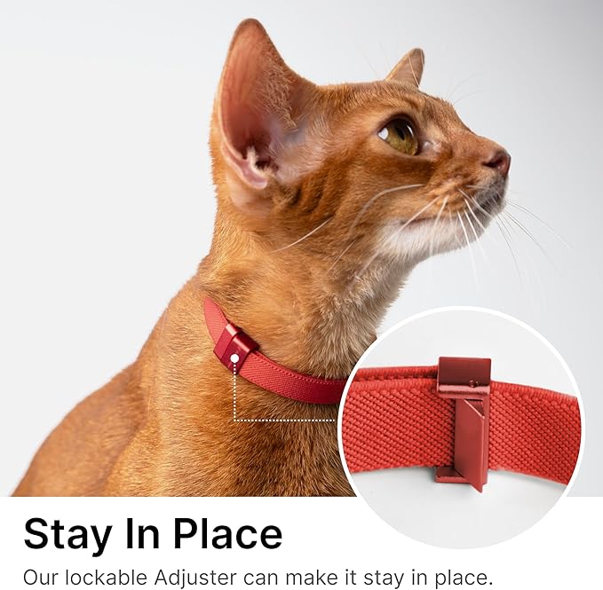 Safety Cat Collar Pro - U.S. IDA Gold Awarding Design, Elastic Quick Release Cat Collar with Buckle Non Breakaway - Lightweight for Kitten All Small Large Cats (Space Gray, S 5.9-11.8")