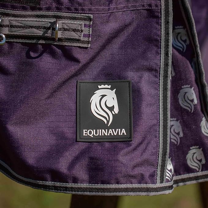 Equinavia Norse Lightweight 100g Fill Horse Rain Blanket | Waterproof Turnout Sheet - Black - 66 in - Grape Purple - 69 in