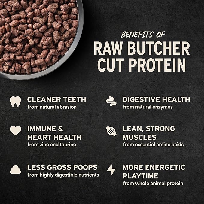 Vital Essentials Freeze-Dried Raw Beef Crunchy Mini Nibs | Complete Meal or Mixer Dog Food | 3 lbs Big Bag