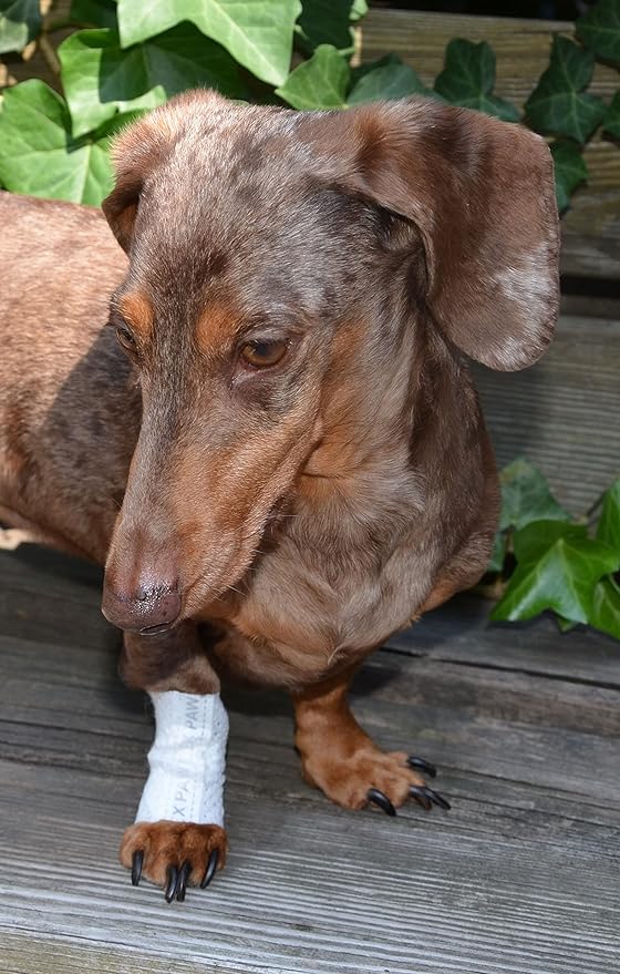Protective Sleeve Tubular Cover - Bandages - for Dogs Cats & Other Pets First Aid Wound Care Non-Adhesive Disposable Breathable Water Resistant 7 Strips (yields 14-21 Covers) (Small 12pk)