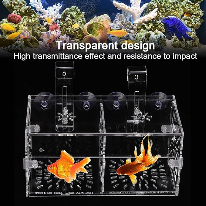 Acrylic Transparent Fish Tank, Breeding Isolation Box Aquarium Hatchery Incubator Holder with Screw Reinforcement, Convenient Use Comes with Isolation Board for Fish Breeding