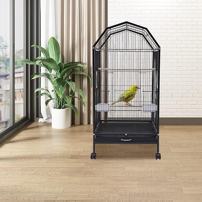 Iron Parakeet Bird Cage with Stand, Pet Bird Container with Skylight, Large Cage for Medium&Small Bird with Wheels and Doors for Cockatiel Sun Conure Senegal Jardine Quaker Budgie (Black)