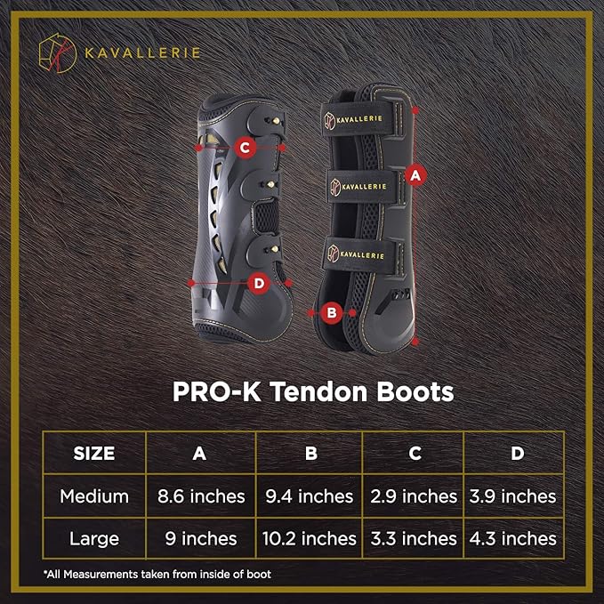 Kavallerie Classic Tendon Boots, Impact-Absorbing Material, Breathable & Evenly Distribute Pressure, Protect Tendon and Ligaments, Anti-Slip, Anti- Sore and Moisture Repellant Show Jumping Boots