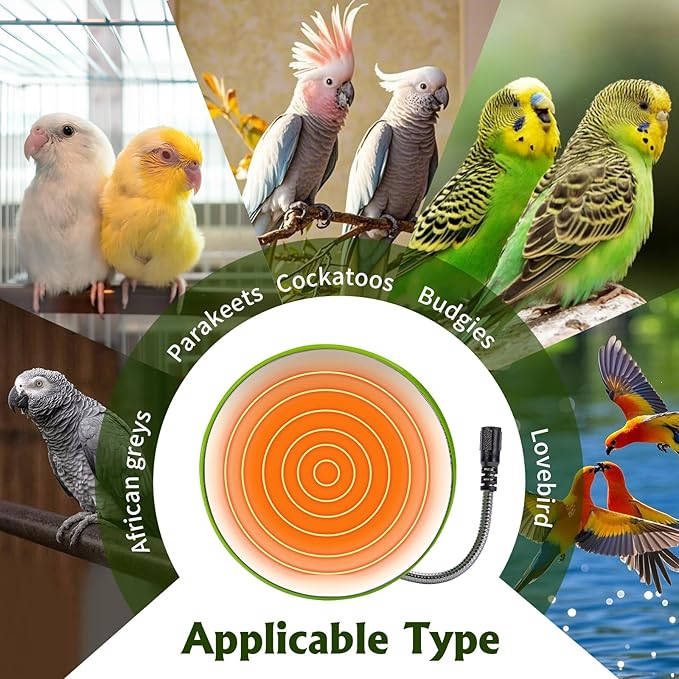 Snuggle-Up Bird Cage Heater,Bird Cage Accessories,Bird Warmer Pad with Mirror for Parrots Parakeets African Grays and Small Pet,12V, 4.7"