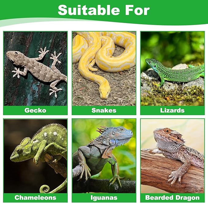 kathson Reptile Carpet, Natural Moss Mat for Terrarium, Bearded Dragon Tank Flooring Green Substrate Liner for Leopard Gecko Hermit Crab Lizard Tortoise (47.24" X 11.81")