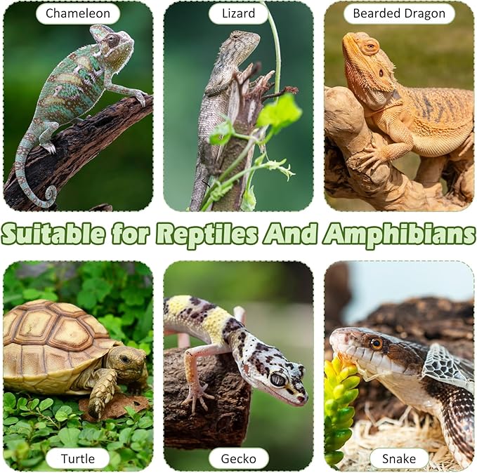 kathson Bearded Dragon Tank Accessories Kit, Reptile Hide Wooden Bridge Coconut Fiber Mat Hammock Jungle Climber Vines Leaves Tweezer and Plant Reptile Habitat Decor for Chameleon Lizards Gecko Snakes