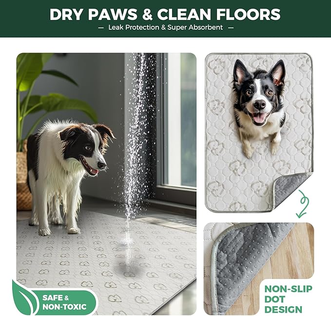 FXW Washable Pee Pads for Dogs, Puppy Pads with Super Absorbent, Specifically Designed for 42inch Cages, Rectangle, 41" x 27", 2 Packs