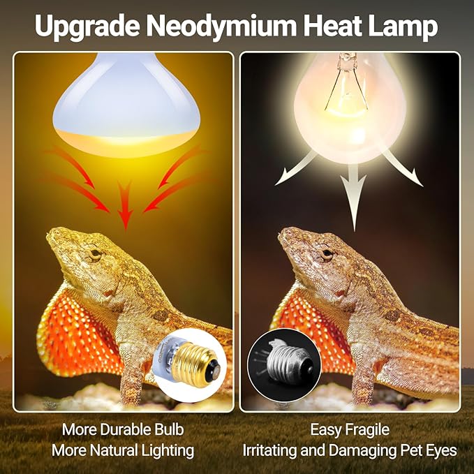 REPTI ZOO Reptile Heat Lamp Bulb 150W,2 Pack Neodymium Basking Spot Light, UVA Daylight Heating Lamp for Amphibian & Chicken Brooder | Simulated Natural Sunlight for Bearded Dragon,Lizard,Tortoise