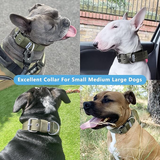 Heavy Duty Tactical Dog Collar - 1.5" Width Military Durable Thick Nylon with Adjustable Metal D Ring & Buckle Working Training K9 Collar for Medium Large Dogs (L(20"-23"), Army Green)