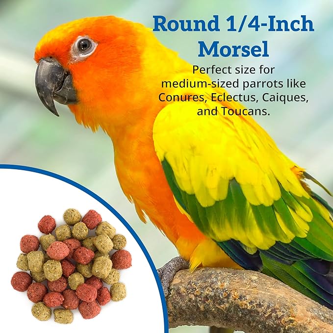 Scenic Mix Paradise Premium Parrot Food - Apple & Natural Flavors, High Protein, Low Iron Conure Bird Food, Eclectus & Other Small Pet Parrots, Omega 3, Vitamins & Minerals, 2 LB (Pack of 2)