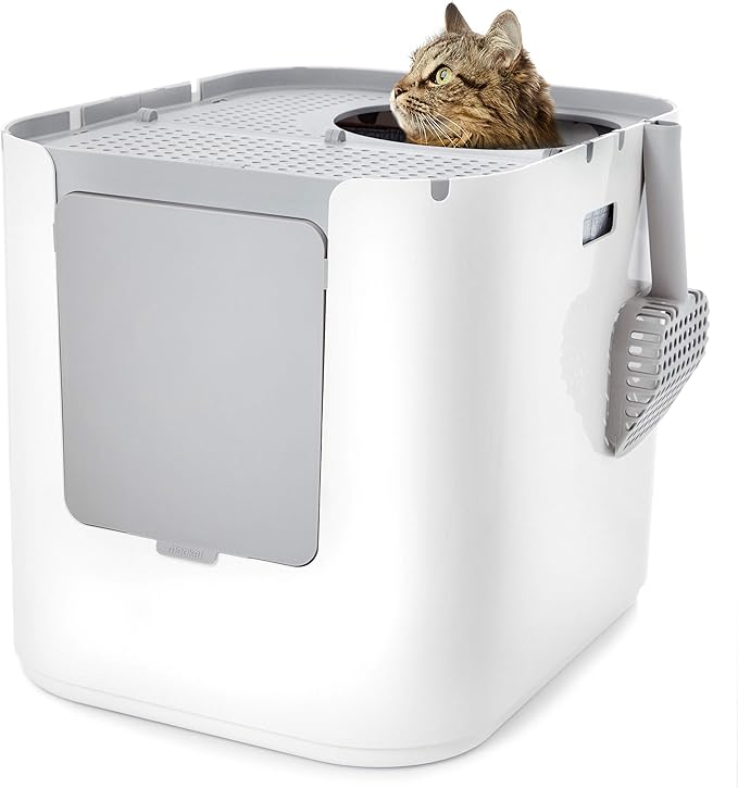 Modkat® XL Litter Box, Top or Front-Entry Configurable, Full Height Seamless Base, Reusable Litter Liners, Sifting Litter Scoop, 2X Bamboo Charcoal Filters - White