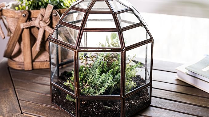 Urban Born Large Terrarium Birdcage, Glass and Metal Indoor Display Case, Unique Gift Idea, Succulent Container, Orchid Planter, Home Decor. (Bronze) 10" x 9"(Diameter)