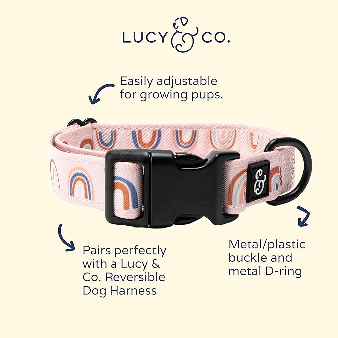 Lucy & Co. in The Clouds Dog Collar - Durable Lightweight Designer Collar for Pets - Adjustable Metal Safety Buckle - Pink Rainbows - Medium