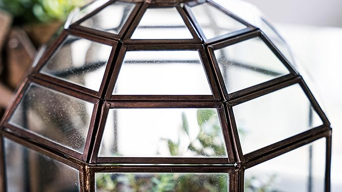 Urban Born Large Terrarium Birdcage, Glass and Metal Indoor Display Case, Unique Gift Idea, Succulent Container, Orchid Planter, Home Decor. (Bronze) 10" x 9"(Diameter)