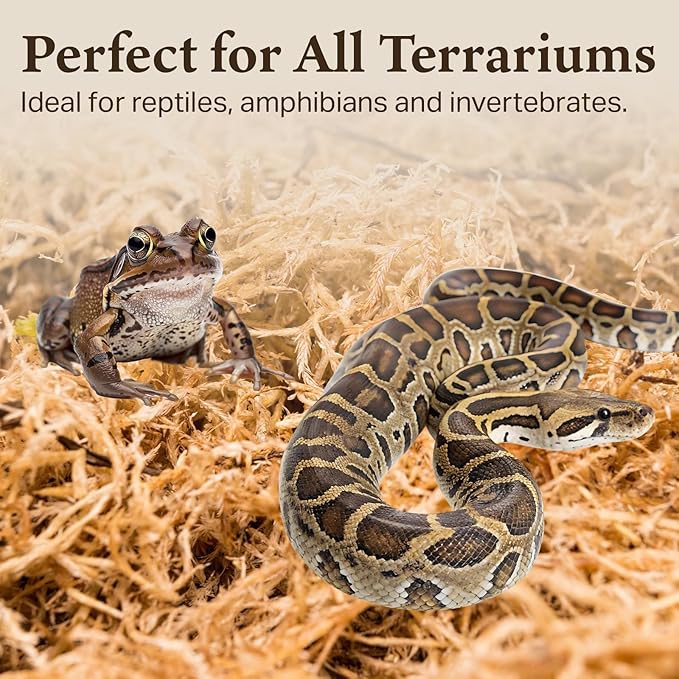 The Habitat Life - Natural Sphagnum Moss - for Reptiles, Amphibians & Invertebrates Terrariums - Humidity Control - Ideal for Burrowing & Nesting - Dye-Free & Safe - Medium - 2 Pack