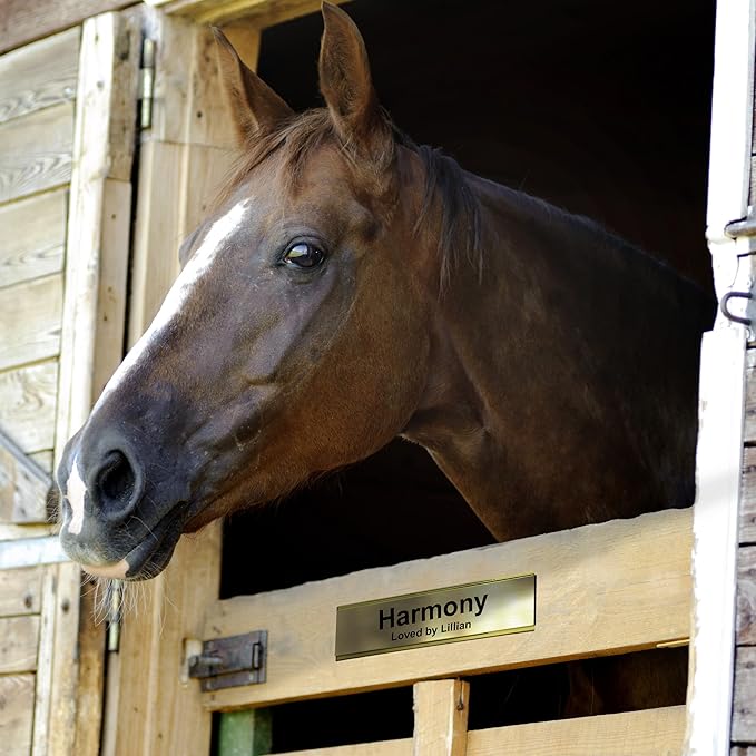 Horse Stall Name Plate, 2x12 Personalized Stall Signs, UV Protected, All Weather Adhesive, Hanging, Mounting or Other, Green Marble Pattern Plastic White Letters - Made in USA - S4