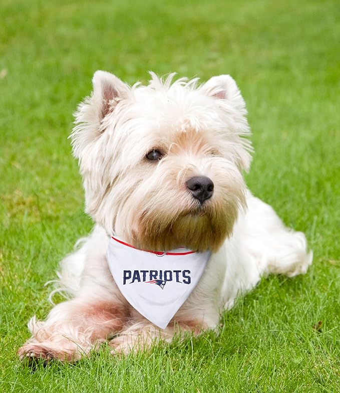 Pets First NFL Pets Collar Bandana