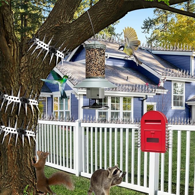 Bird Spikes 65 FT Stainless Steel Bird Deterrent, Snake and Raccoon Deterrent, Squirrel Baffles for Bird Feeders, Anti Climb Spikes, Prevent Squirrels from Stealing The Bird Food