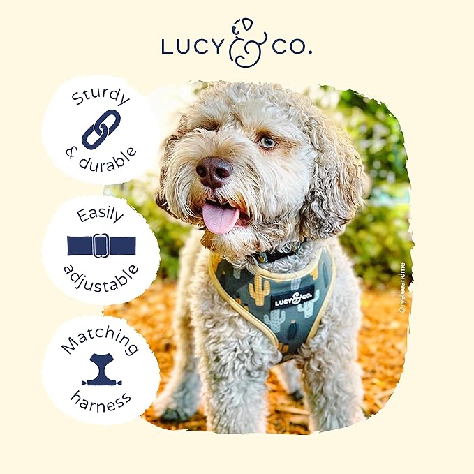 Lucy & Co. Looking Sharp Dog Collar - Durable Lightweight Designer Collar for Pets - Adjustable Metal Safety Buckle - Green Gold Cactus - Small