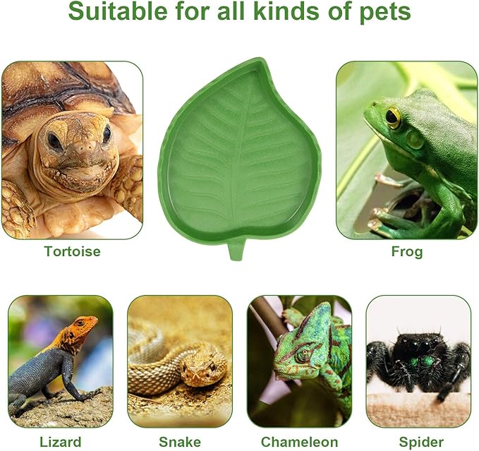 Boao 2 Pieces Leaf Reptile Food Water Bowl Plate Turtle Feeding Dishes for Tortoise Corn Snake Crawl Pet Bearded Dragon, Lizards, Gecko Drinking and Eating, 2 Sizes(Null)